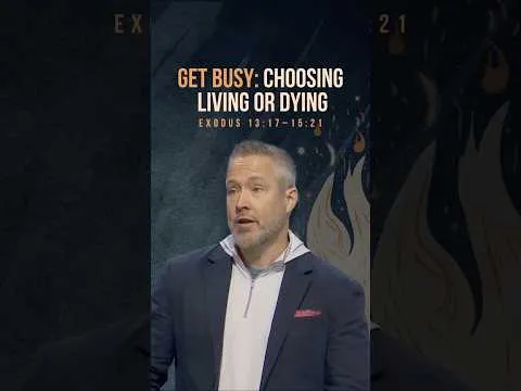 You can either stay stuck in Egypt or you can get busy living and step into the Promised Land. 🌟