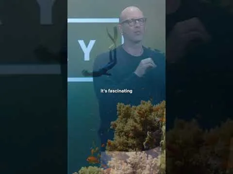 God wants to take you into a place of pressure free prayer!